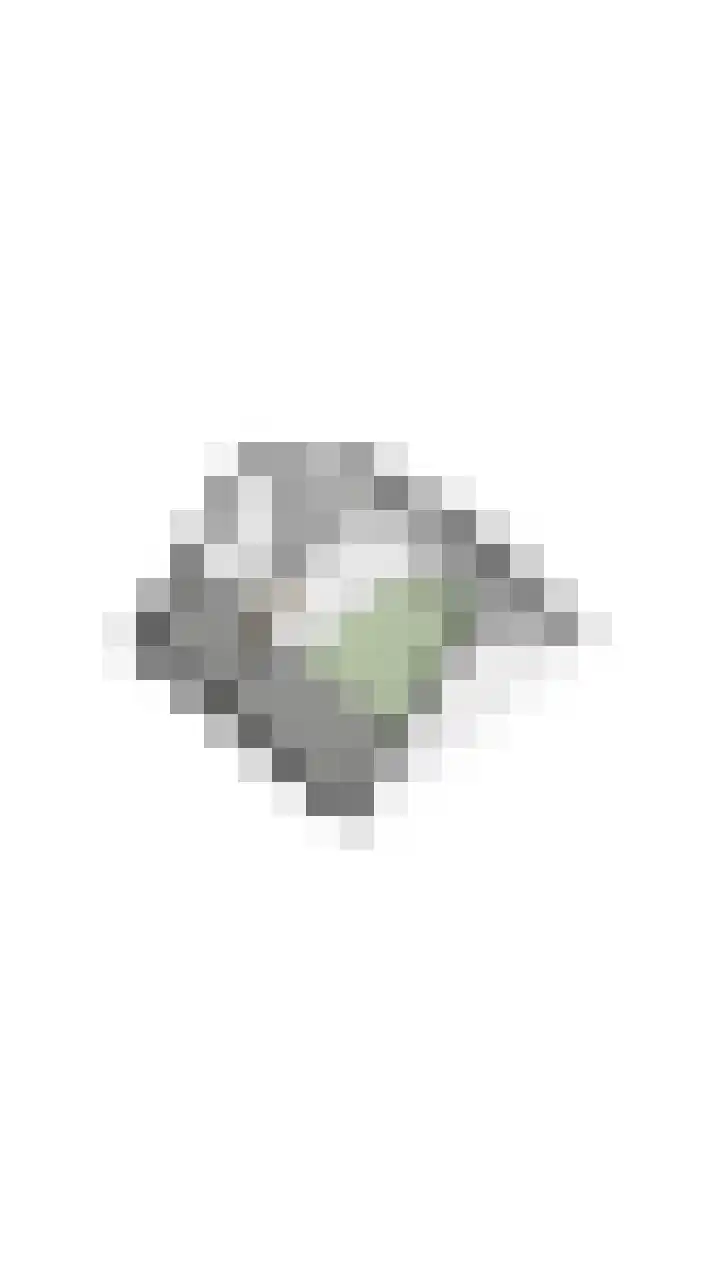 Lepelaar 30 Geldrop thumbnail 57