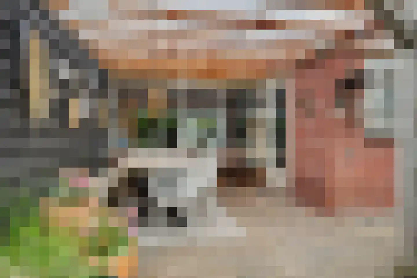 Lepelaar 32 Schagen thumbnail 18