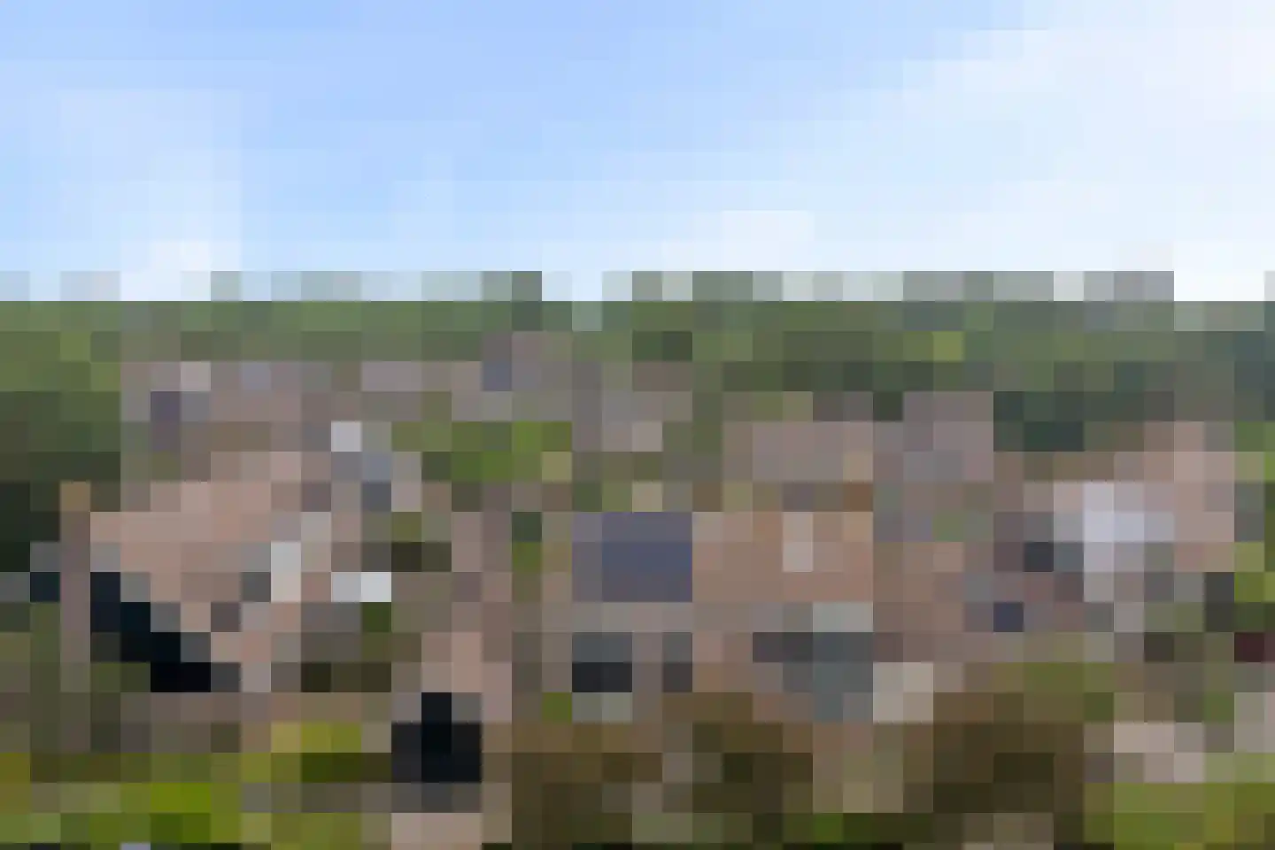 Lepelaar 32 Schagen thumbnail 37