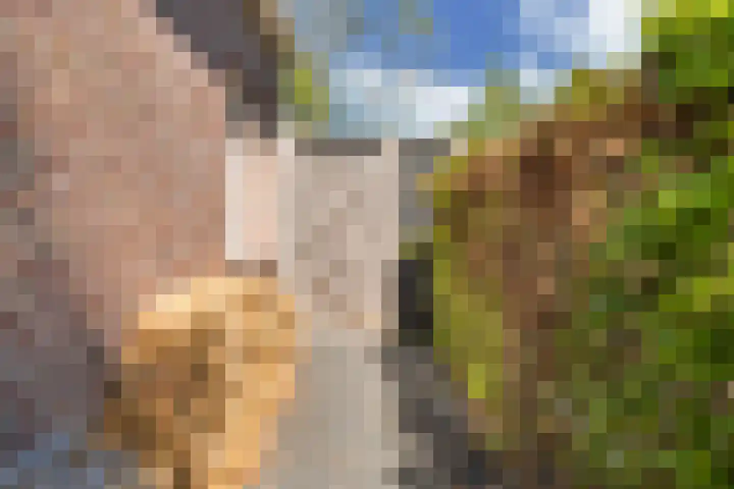 Lepelaar 38 Zuid-Scharwoude thumbnail 10