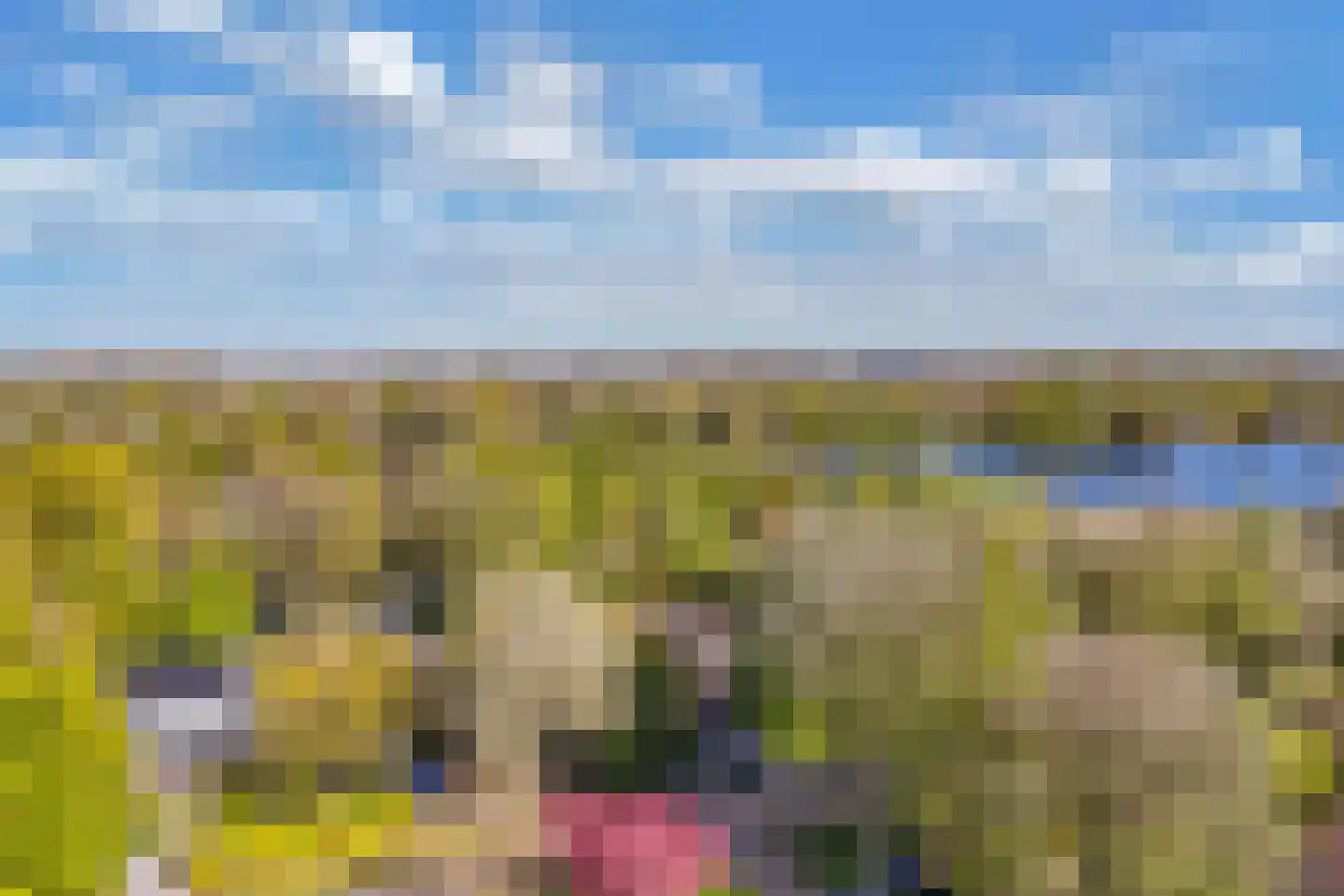 Lepelaar 38 Zuid-Scharwoude thumbnail 12