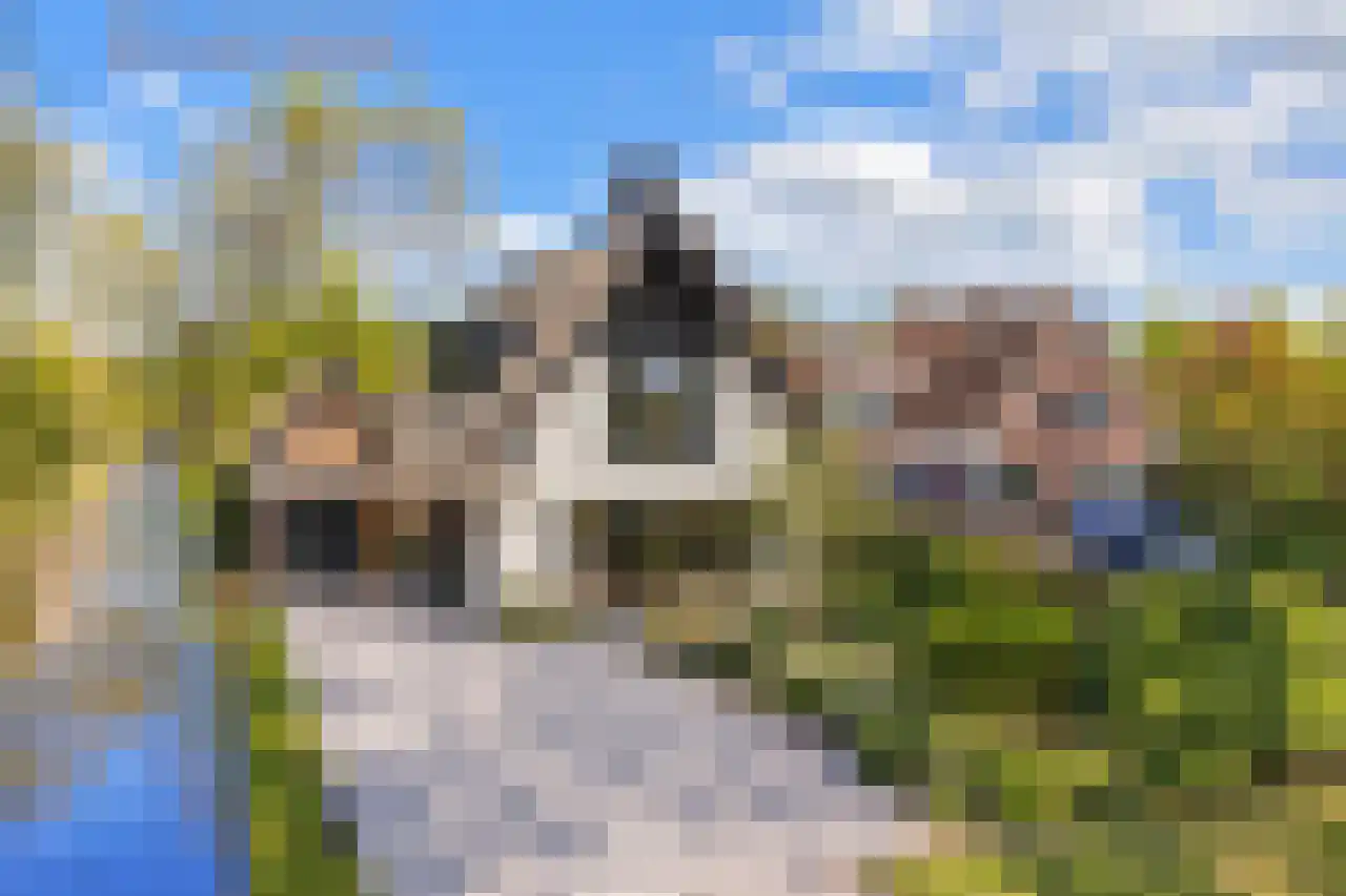 Lepelaar 38 Zuid-Scharwoude thumbnail 4