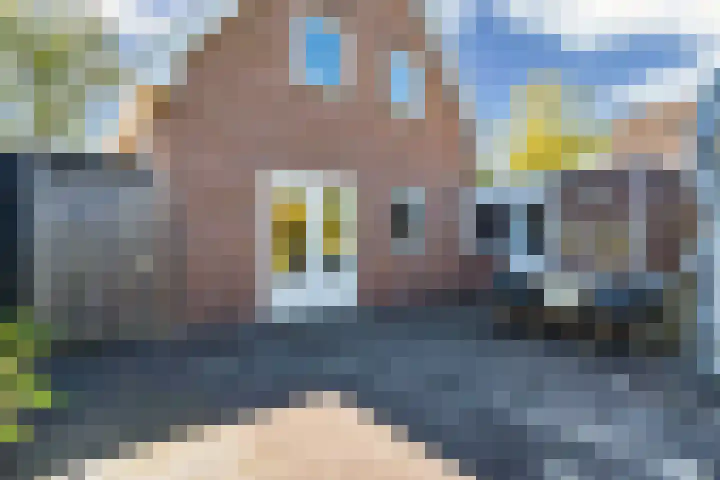 Lepelaar 38 Zuid-Scharwoude thumbnail 47