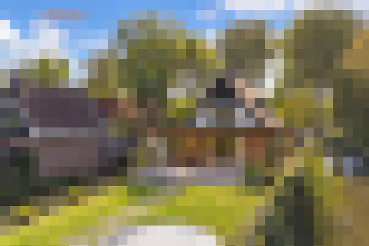 Lepelaar 38 Zuid-Scharwoude thumbnail 5