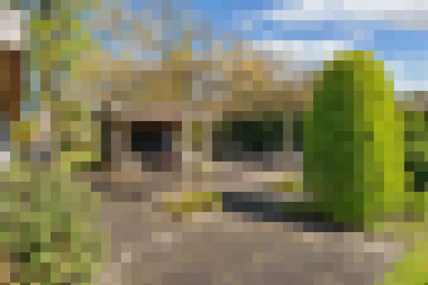 Lepelaar 38 Zuid-Scharwoude thumbnail 51