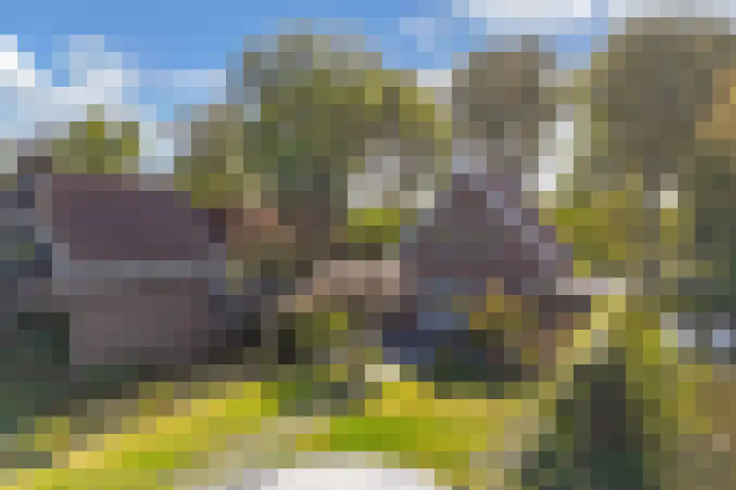 Lepelaar 38 Zuid-Scharwoude thumbnail 57
