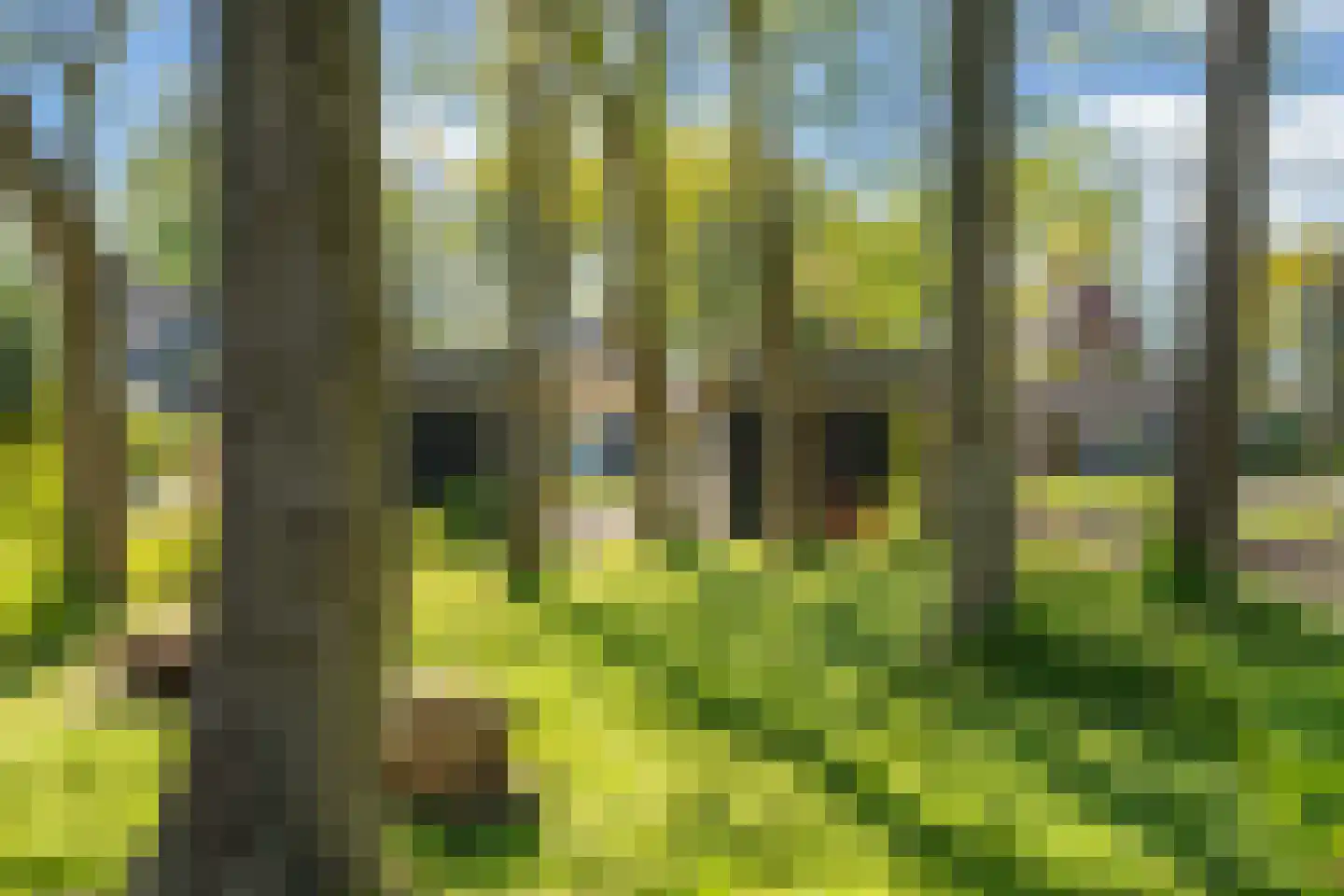 Lepelaar 38 Zuid-Scharwoude thumbnail 58
