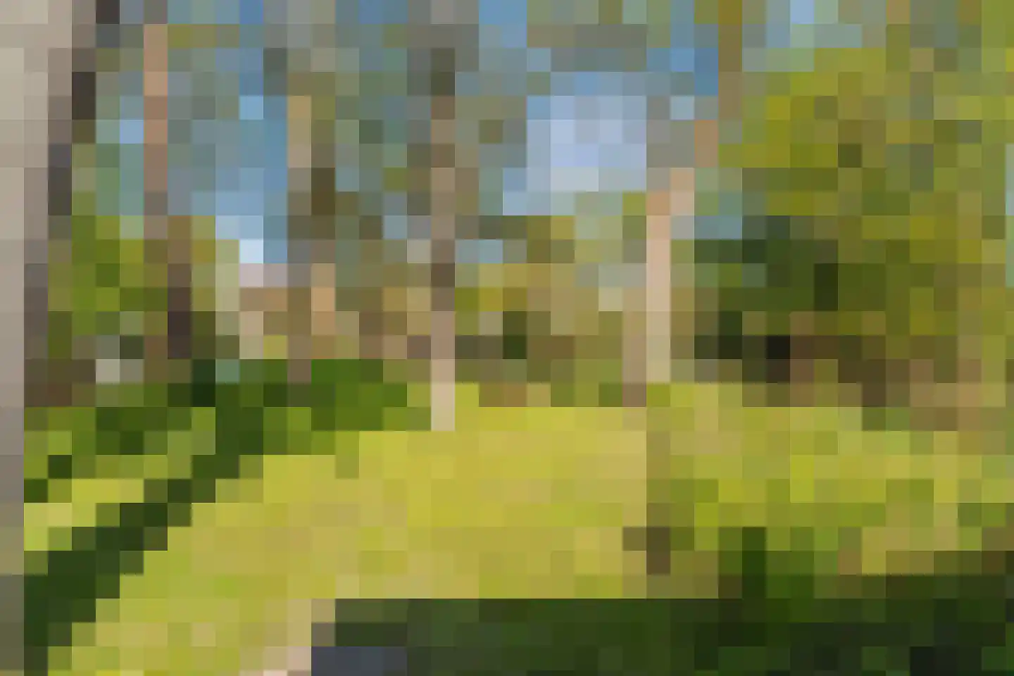 Lepelaar 38 Zuid-Scharwoude thumbnail 59