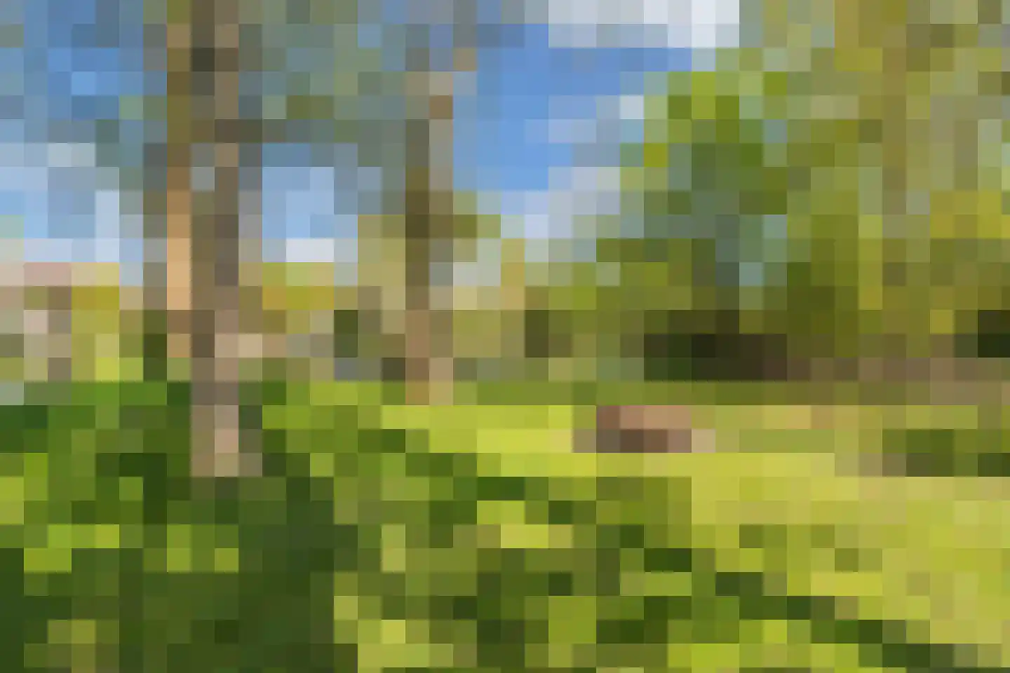 Lepelaar 38 Zuid-Scharwoude thumbnail 60