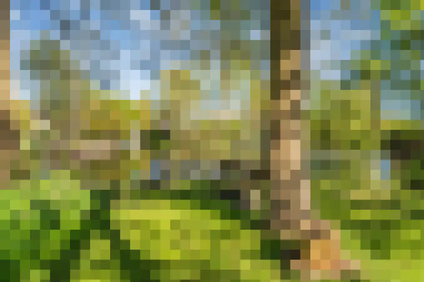 Lepelaar 38 Zuid-Scharwoude thumbnail 61