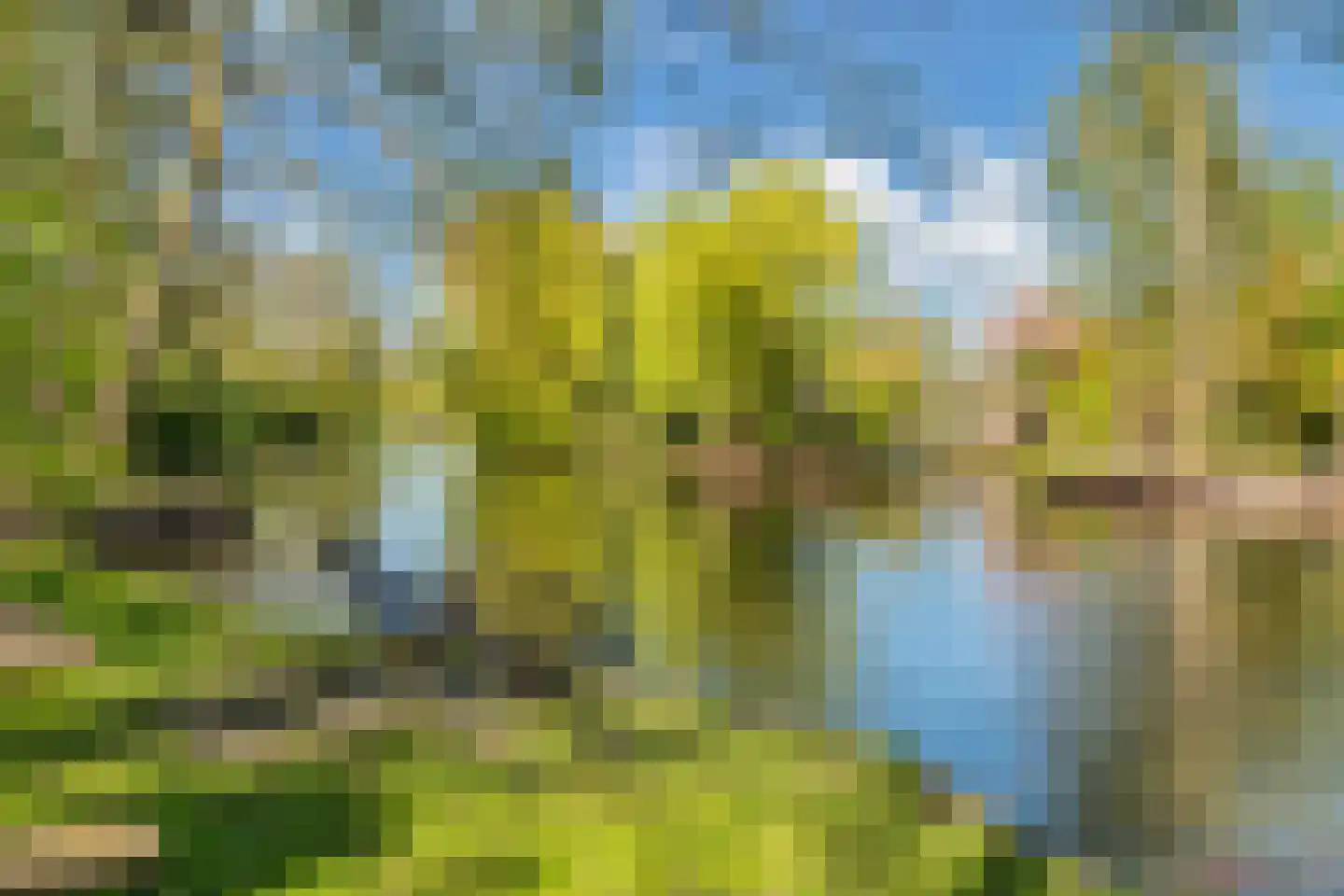 Lepelaar 38 Zuid-Scharwoude thumbnail 62