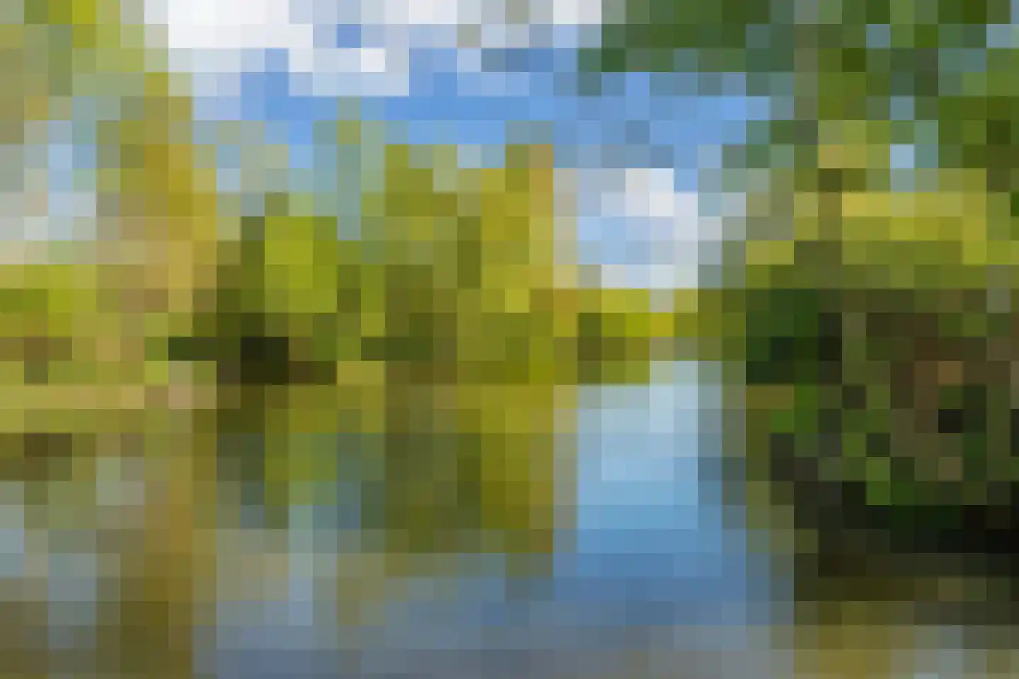 Lepelaar 38 Zuid-Scharwoude thumbnail 63
