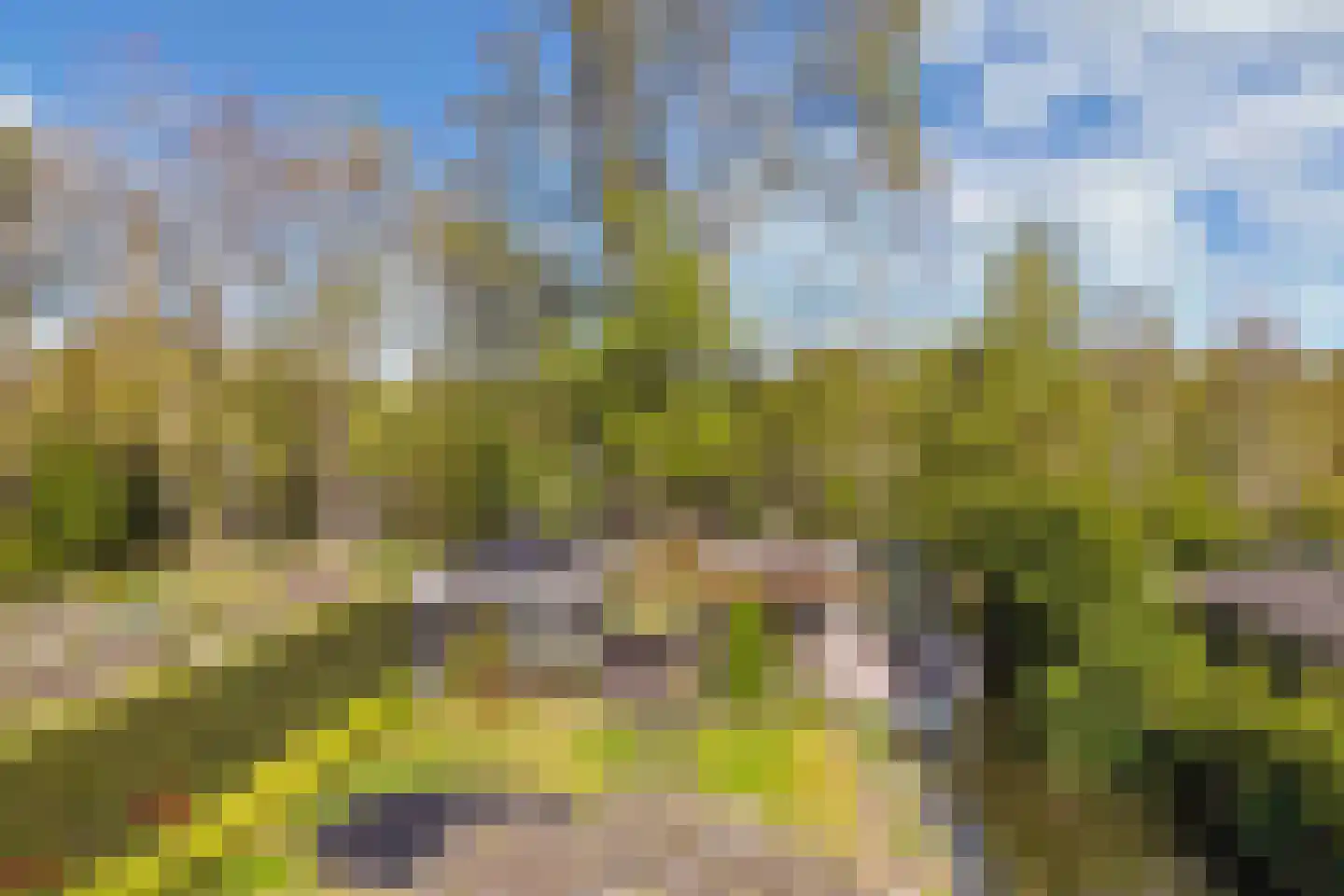 Lepelaar 38 Zuid-Scharwoude thumbnail 64