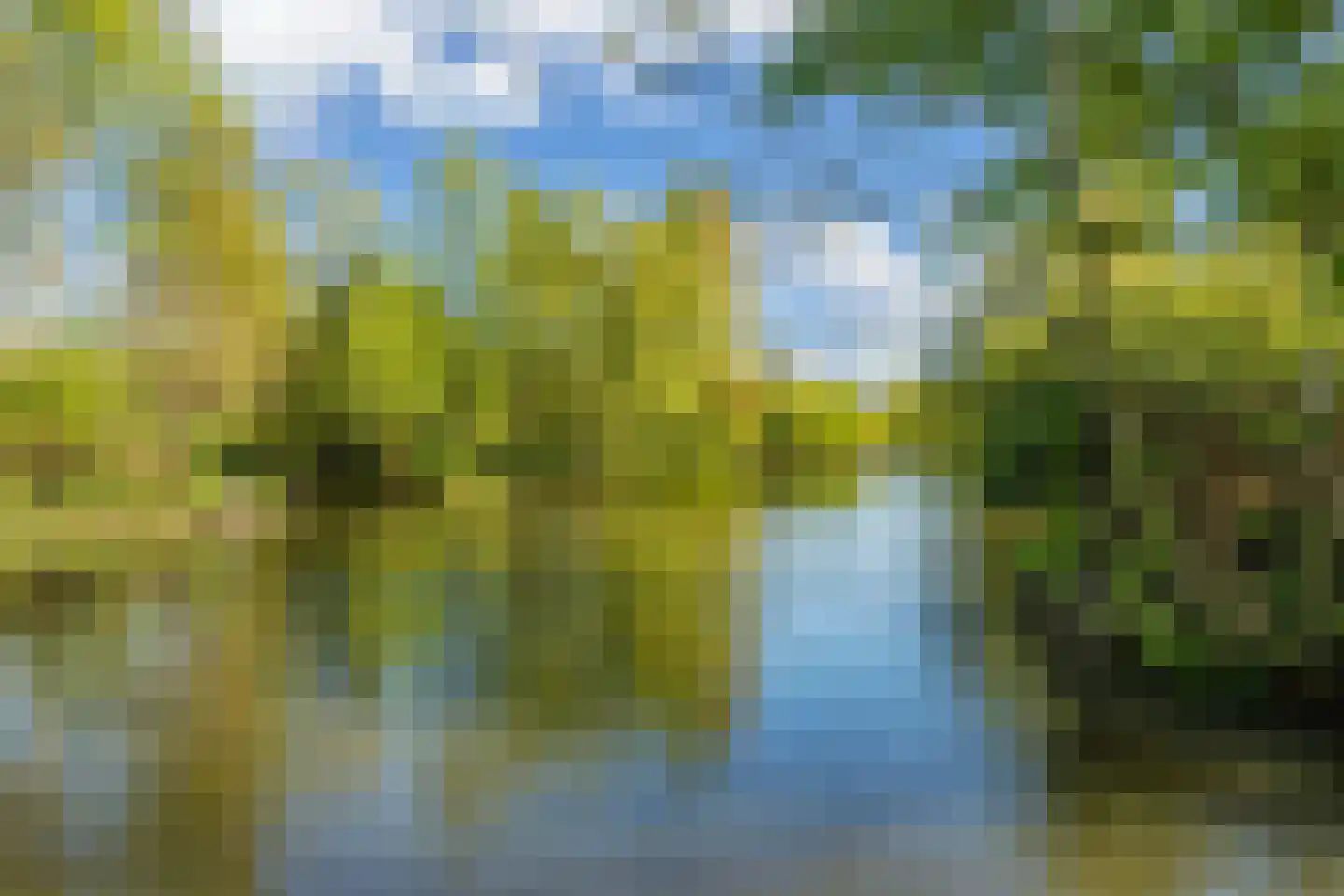 Lepelaar 38 Zuid-Scharwoude thumbnail 64