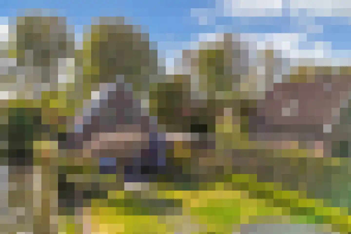 Lepelaar 38 Zuid-Scharwoude thumbnail 65