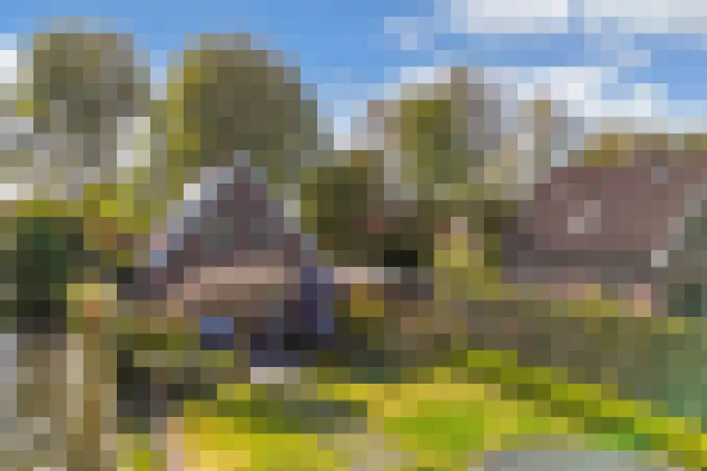 Lepelaar 38 Zuid-Scharwoude thumbnail 66