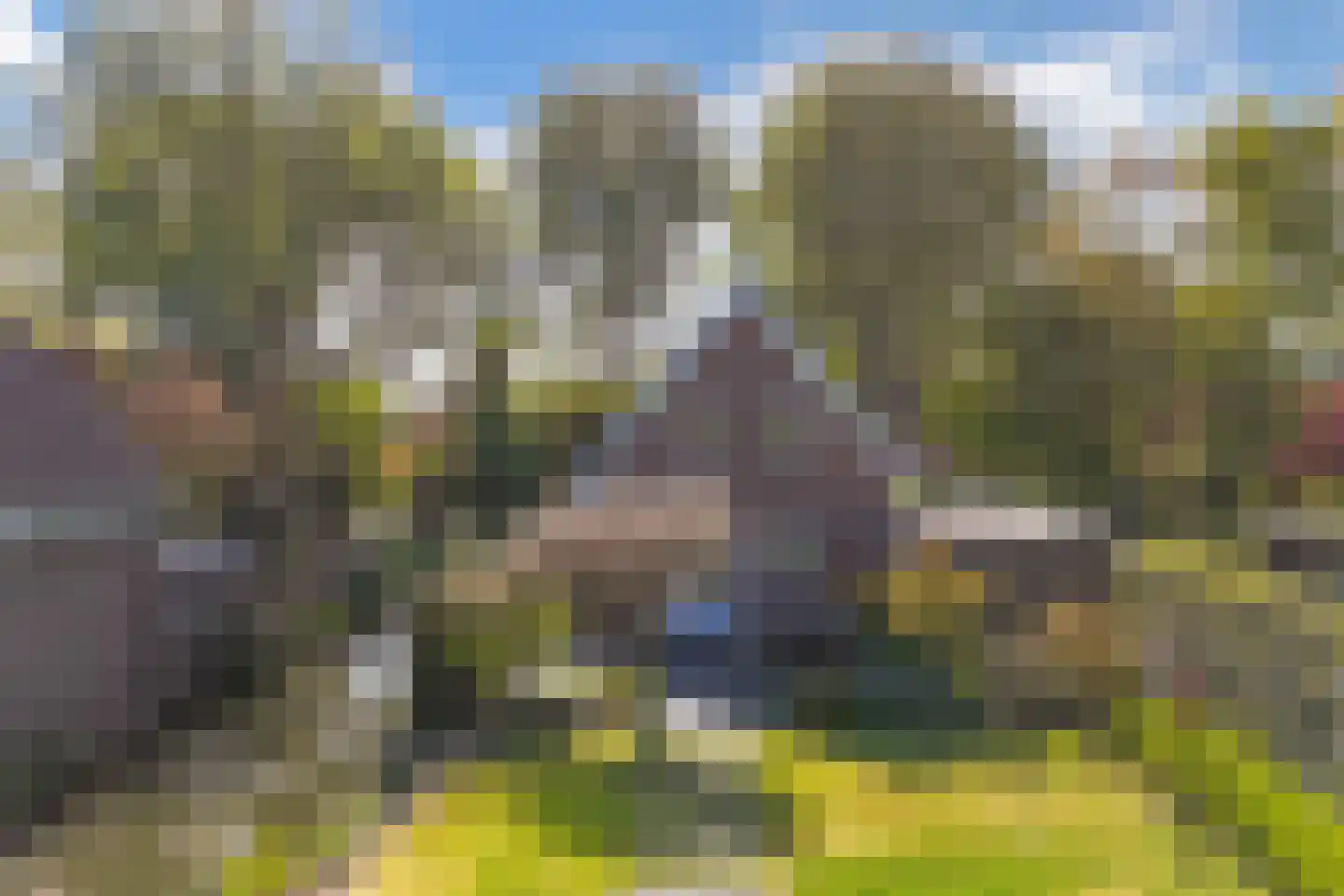 Lepelaar 38 Zuid-Scharwoude thumbnail 66