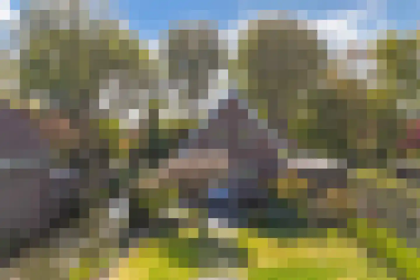 Lepelaar 38 Zuid-Scharwoude thumbnail 67