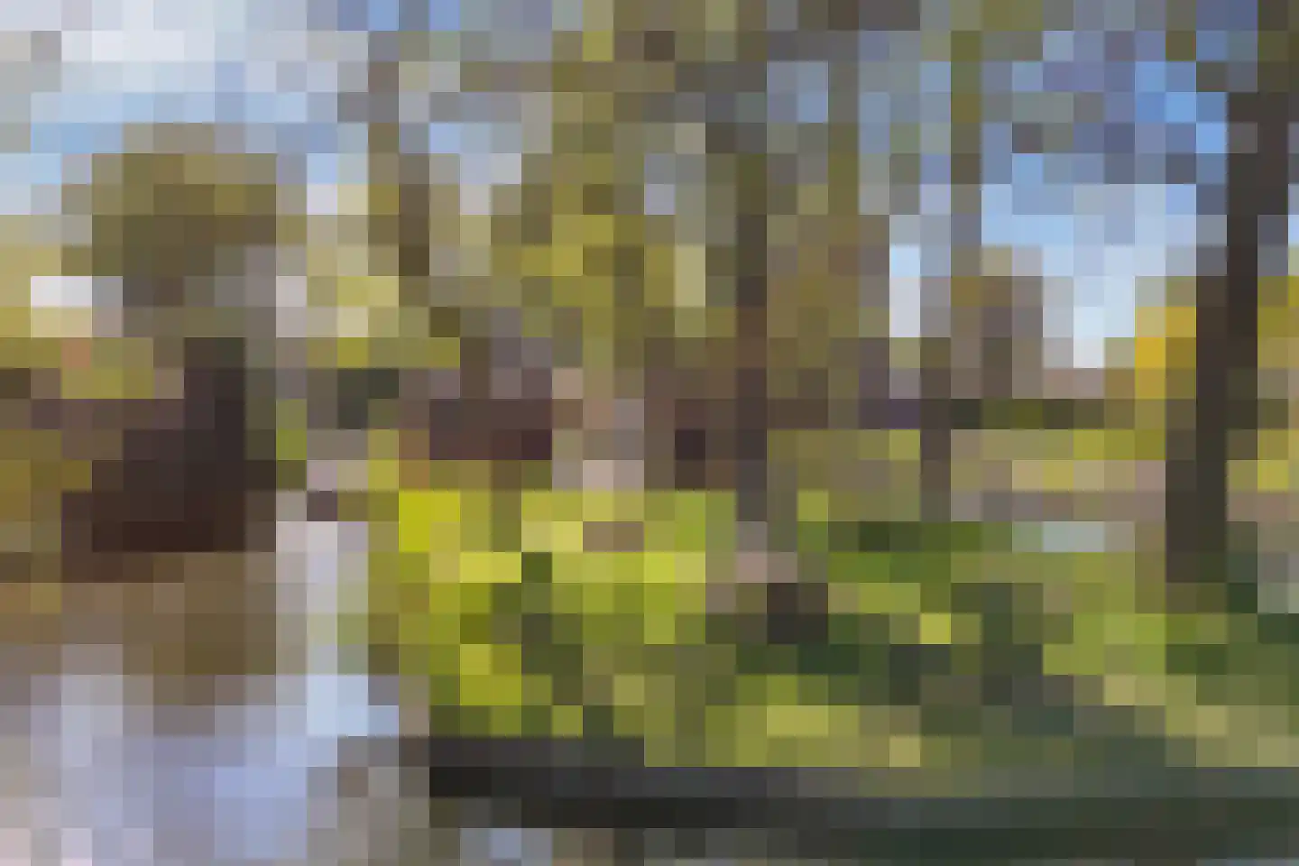 Lepelaar 38 Zuid-Scharwoude thumbnail 67