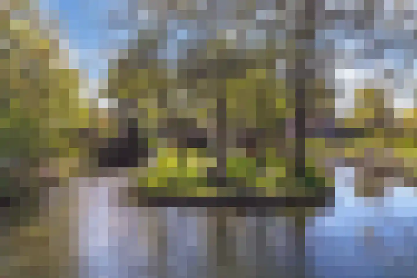 Lepelaar 38 Zuid-Scharwoude thumbnail 68