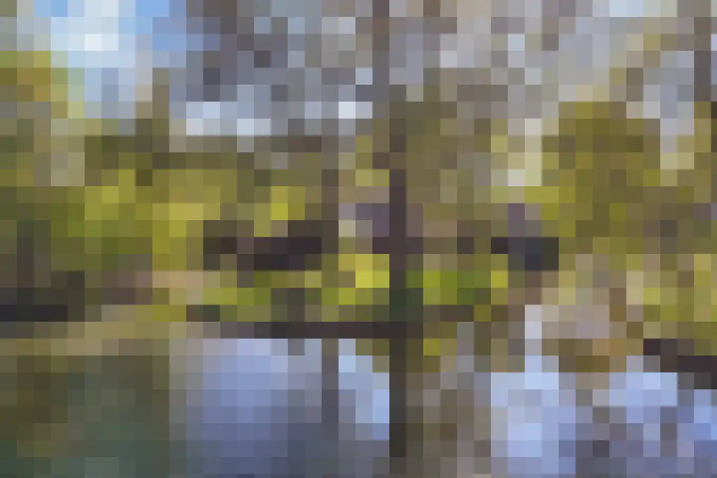 Lepelaar 38 Zuid-Scharwoude thumbnail 69