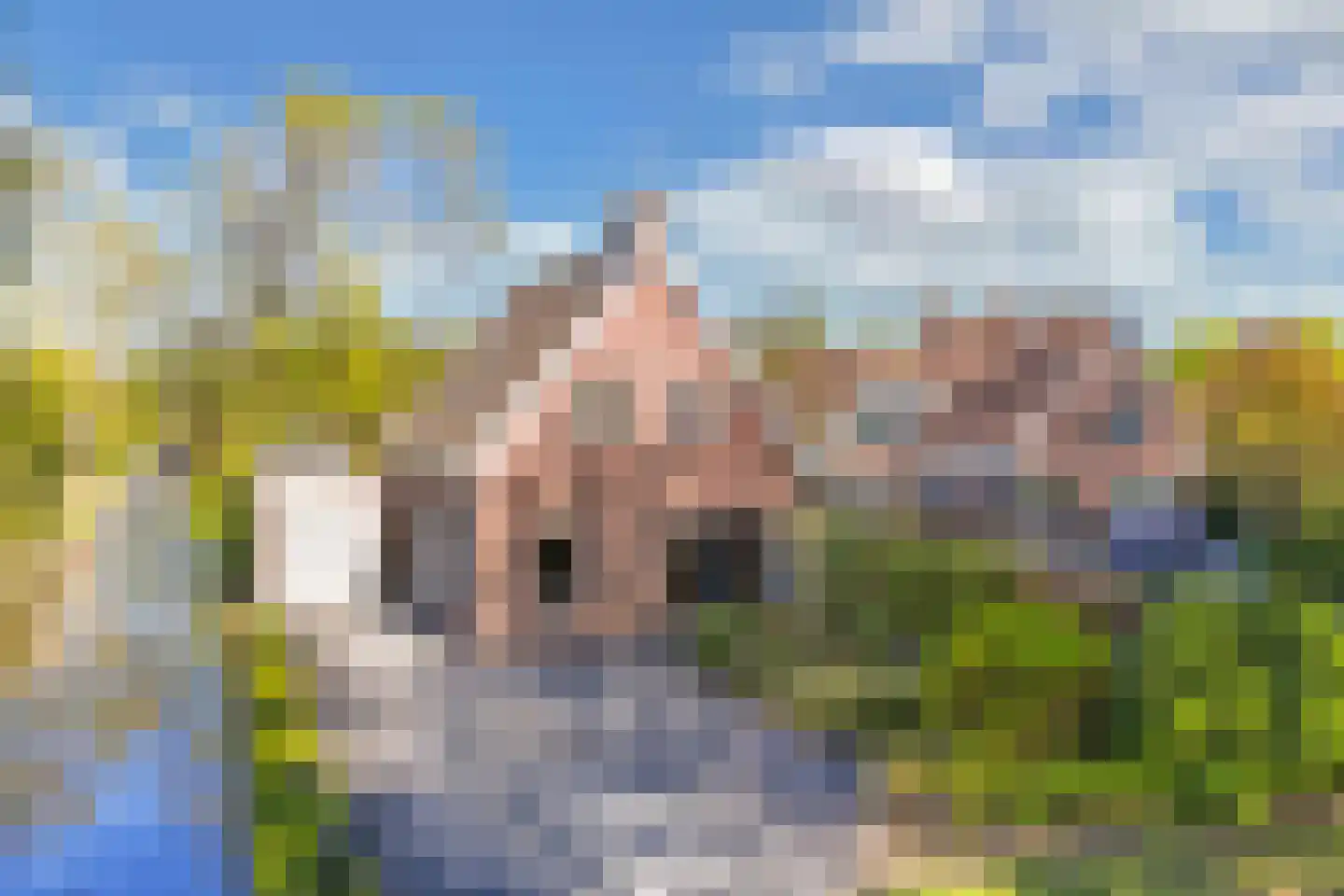Lepelaar 38 Zuid-Scharwoude thumbnail 7