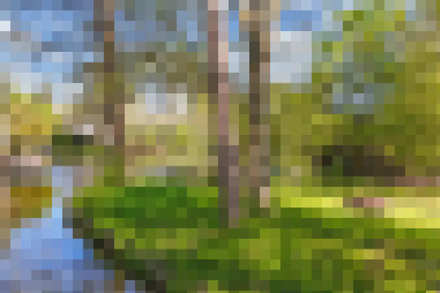 Lepelaar 38 Zuid-Scharwoude thumbnail 71