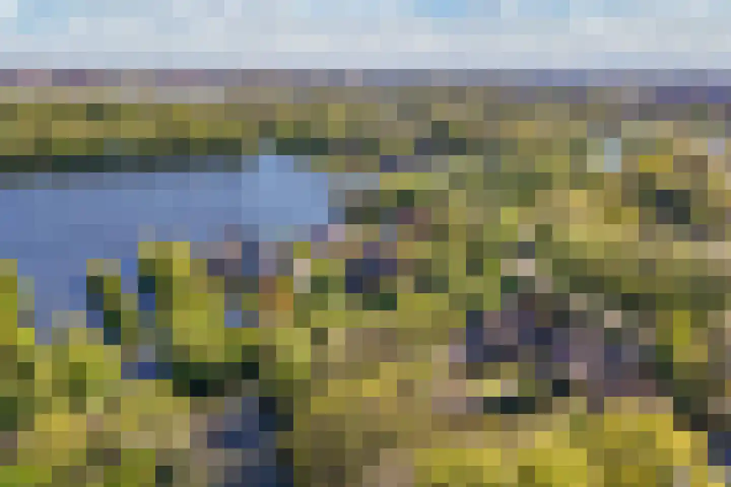 Lepelaar 38 Zuid-Scharwoude thumbnail 73