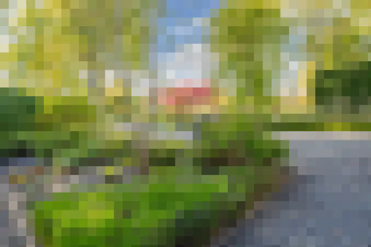 Lepelaar 38 Zuid-Scharwoude thumbnail 9