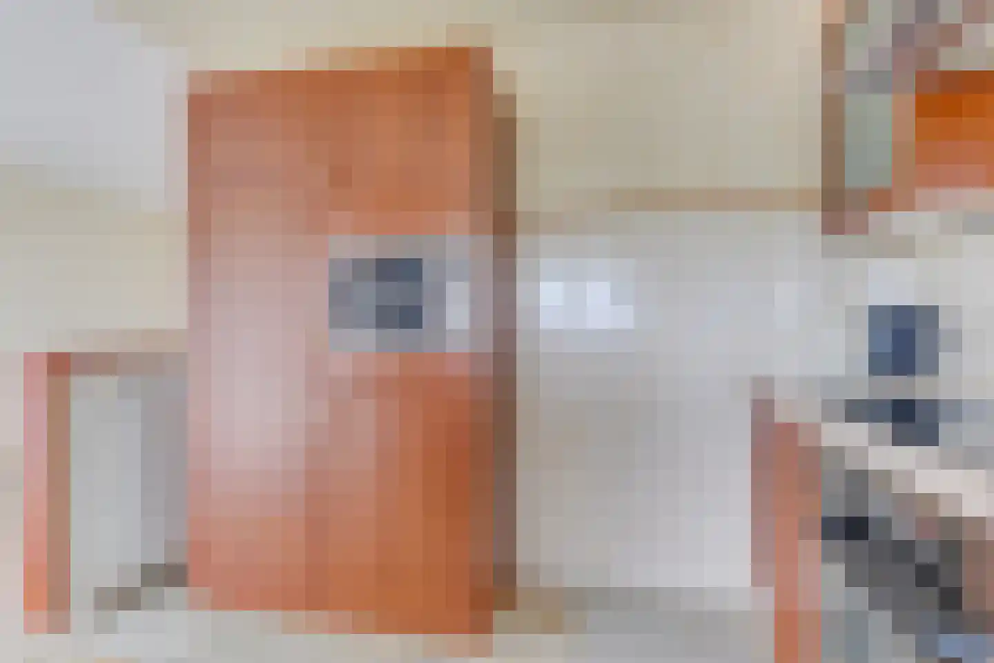 Lepelaar 4 Obdam thumbnail 13