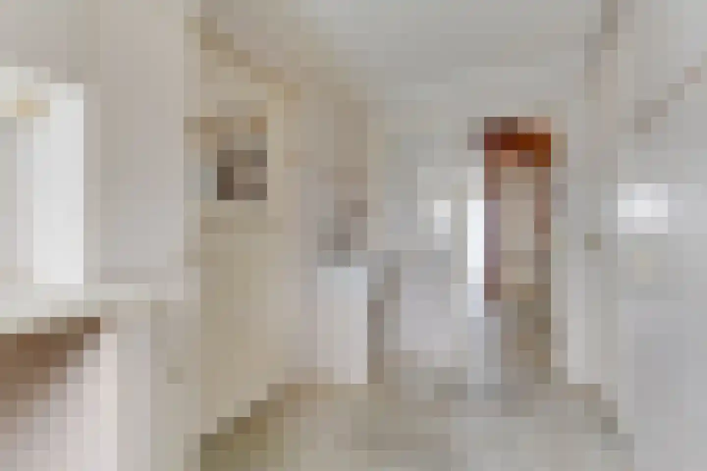 Lepelaar 4 Obdam thumbnail 19