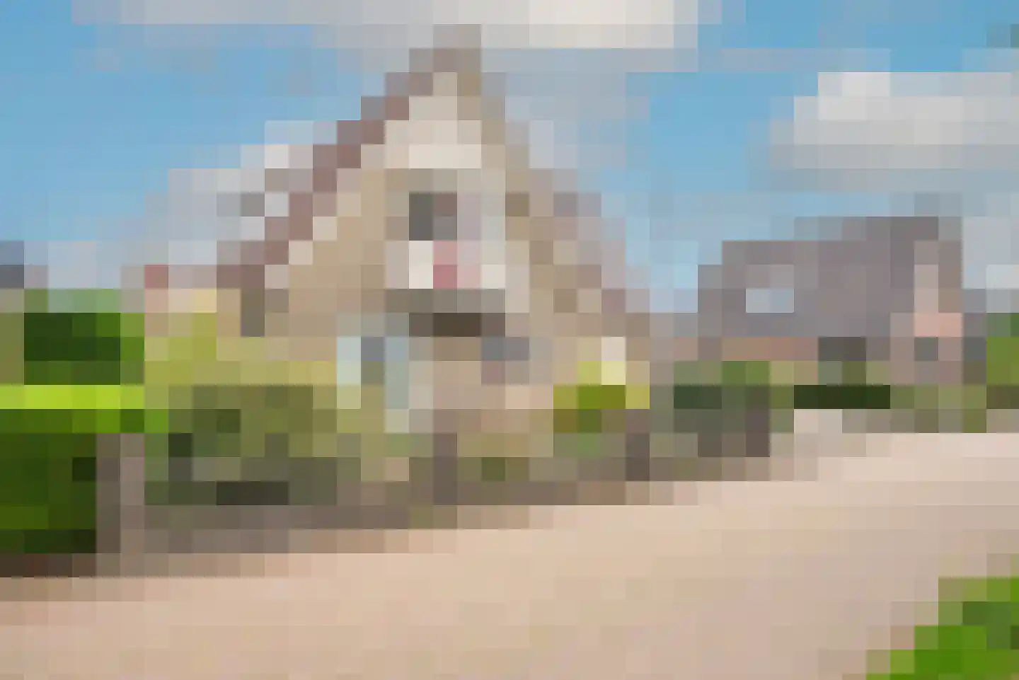 Lepelaar 4 Obdam thumbnail 5