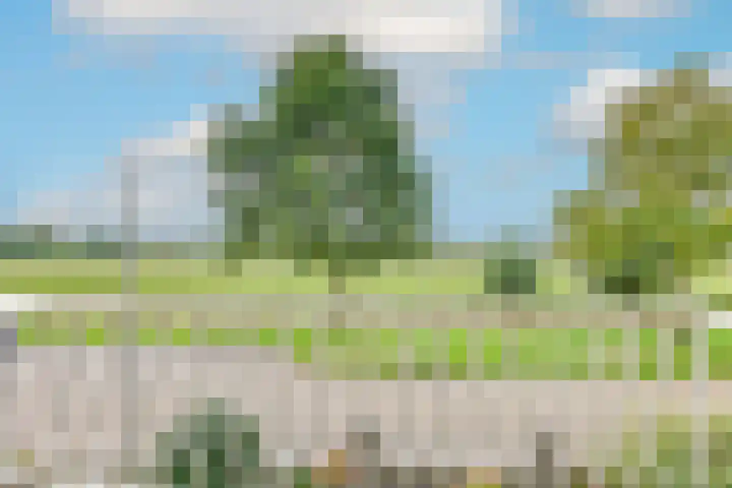 Lepelaar 4 Obdam thumbnail 50