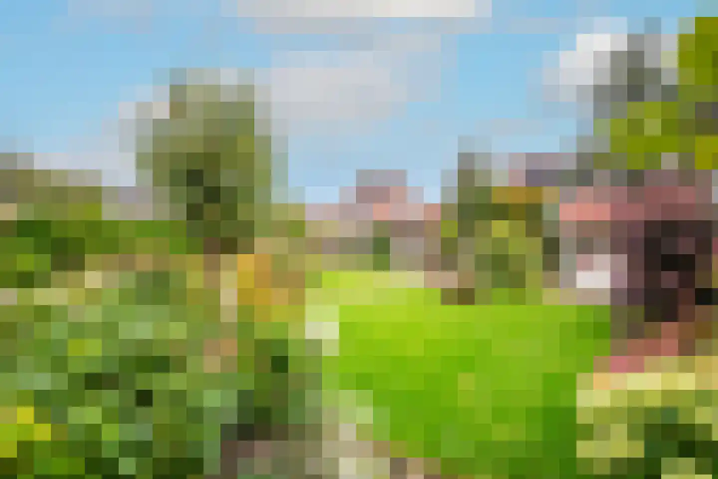 Lepelaar 4 Obdam thumbnail 54