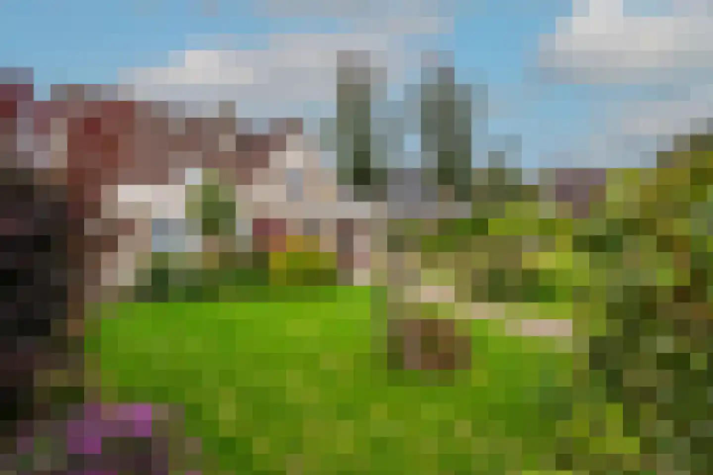 Lepelaar 4 Obdam thumbnail 56