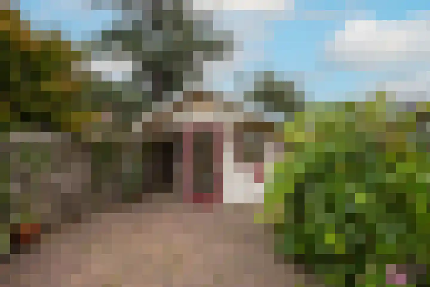 Lepelaar 4 Obdam thumbnail 57