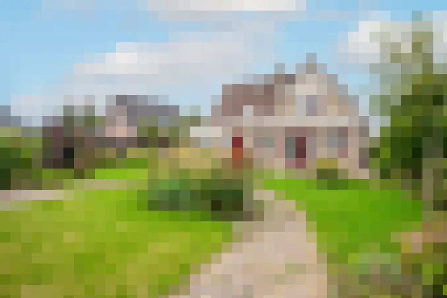 Lepelaar 4 Obdam thumbnail 58