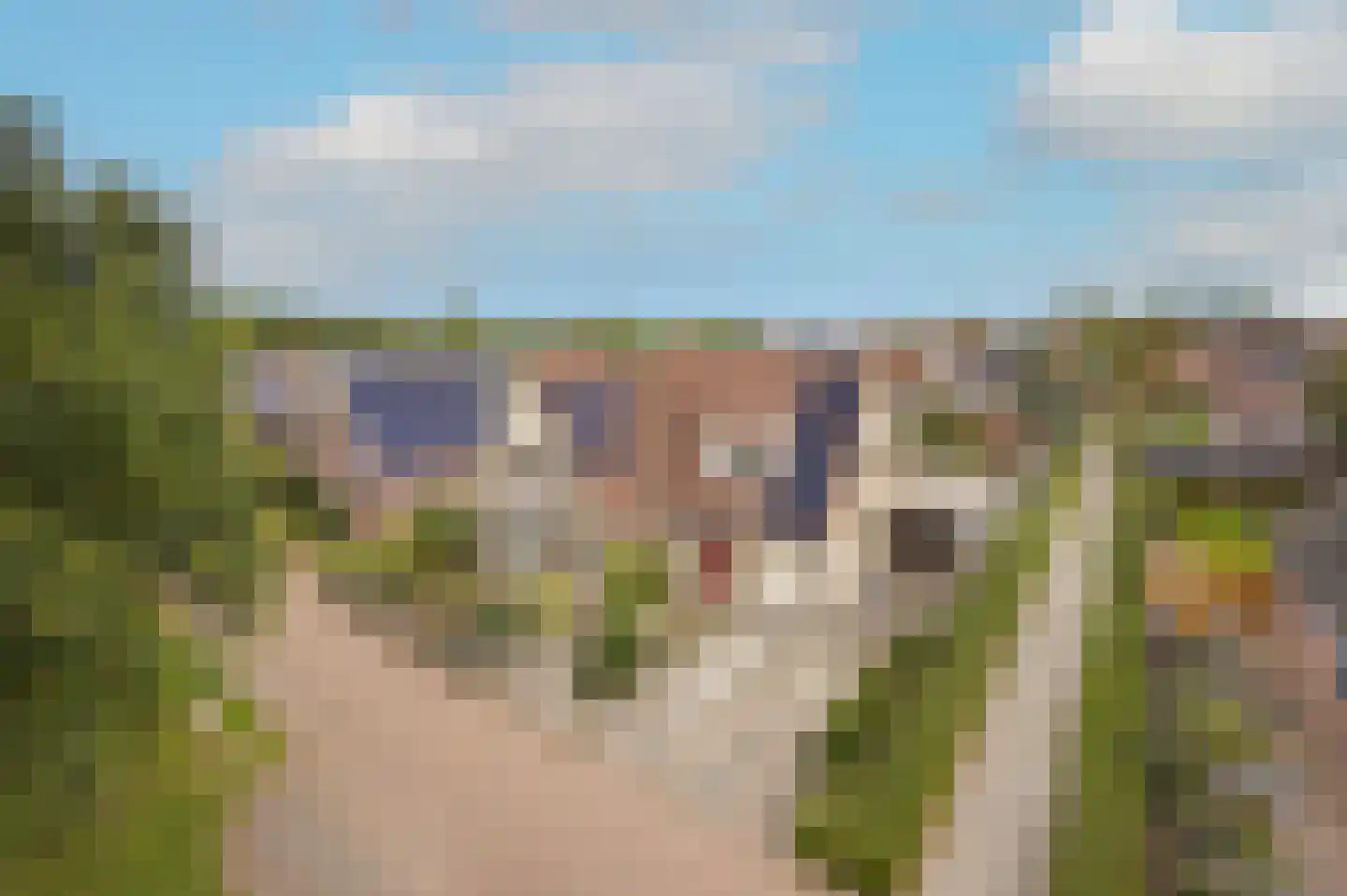 Lepelaar 4 Obdam thumbnail 60