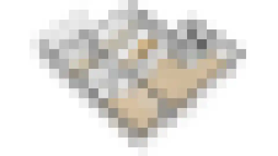Lepelaar 4 Obdam thumbnail 63