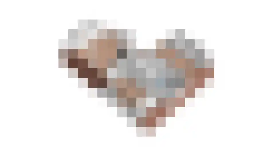 Lepelaar 4 Obdam thumbnail 66