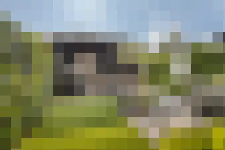Lepelaar 4 Oud-Beijerland thumbnail 26