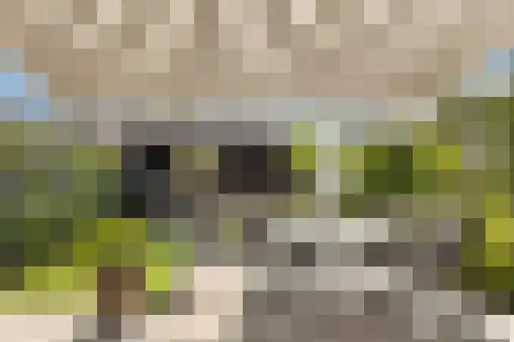 Lepelaar 4 Oud-Beijerland thumbnail 27