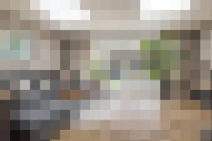 Lepelaar 4 Oud-Beijerland thumbnail 4