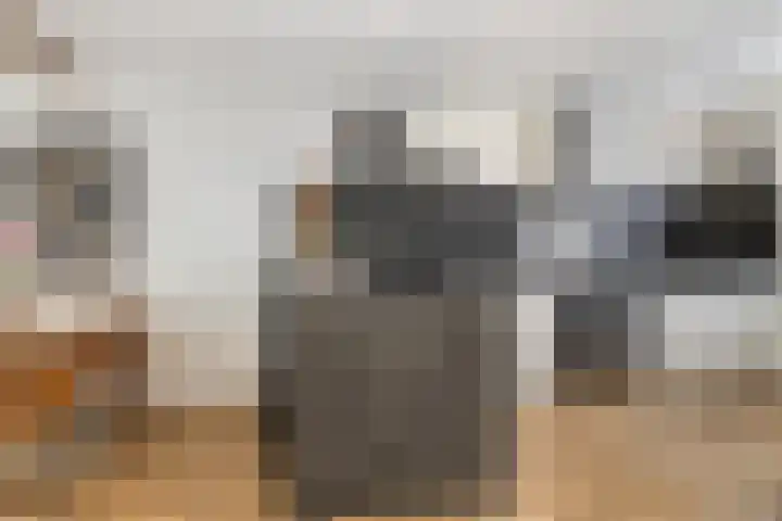 Lepelaar 4 Oud-Beijerland thumbnail 8