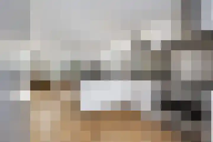 Lepelaar 4 Oud-Beijerland thumbnail 9
