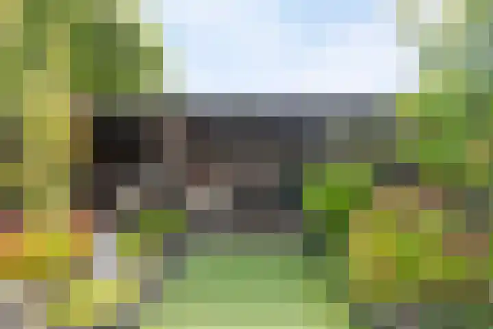 Lepelaar 5 Oud-Beijerland thumbnail 20
