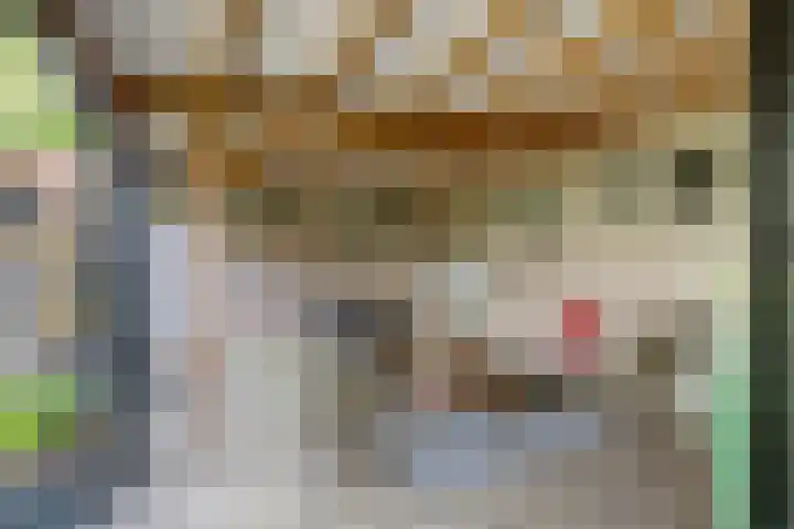 Lepelaar 5 Oud-Beijerland thumbnail 21
