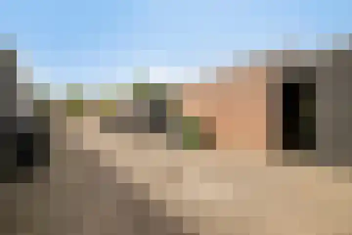 Lepelaar 5 Oud-Beijerland thumbnail 23