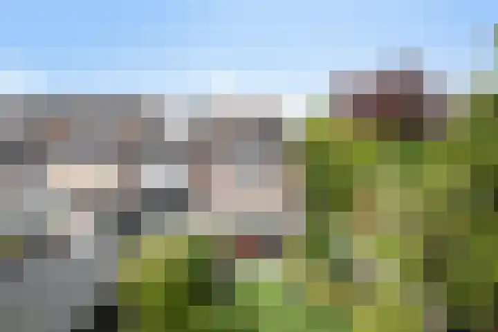 Lepelaar 5 Oud-Beijerland thumbnail 24