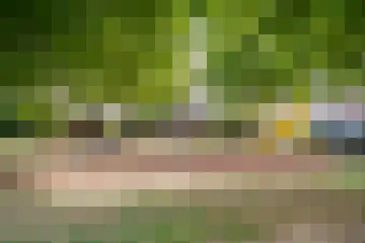 Lepelaar 5 Oud-Beijerland thumbnail 25